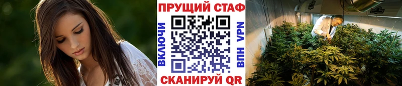 Цена Дмитровск Alpha-PVP  Амфетамин  Экстази  Меф  Гашиш 