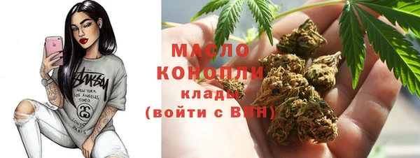 соль ск Михайлов