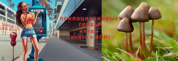 соль ск Михайлов