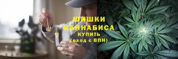 соль ск Михайлов