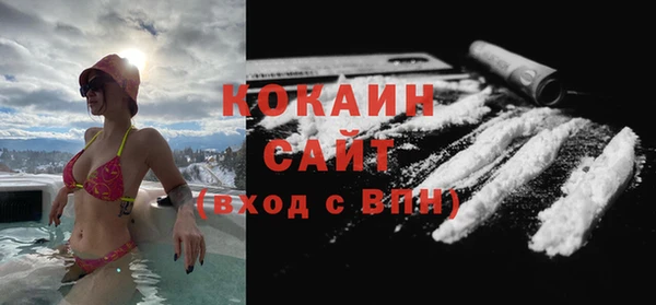 соль ск Михайлов
