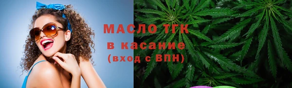 соль ск Михайлов