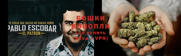 гидра Михайловка