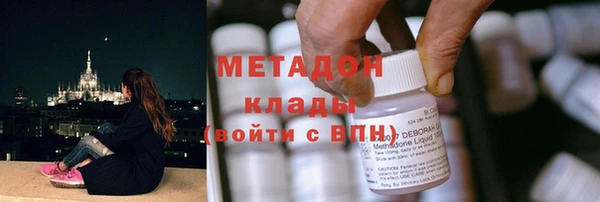 гидра Михайловка
