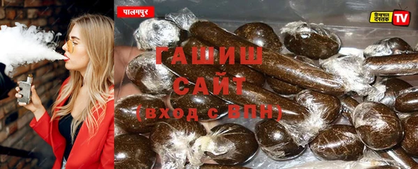 гидра Михайловка