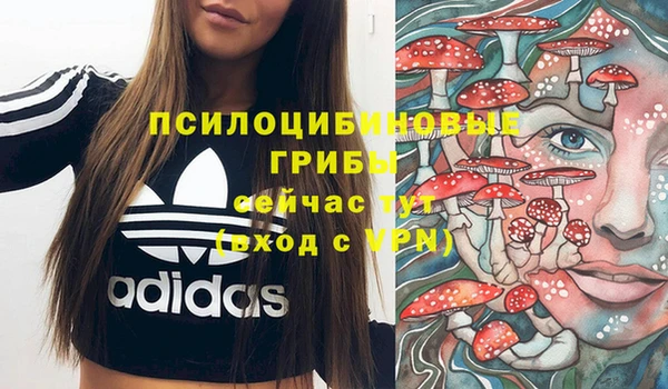 соль ск Михайлов