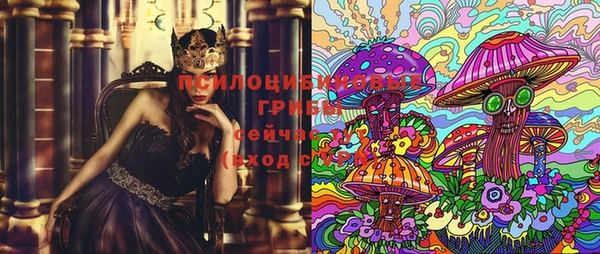 соль ск Михайлов