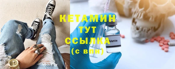 гидра Михайловка